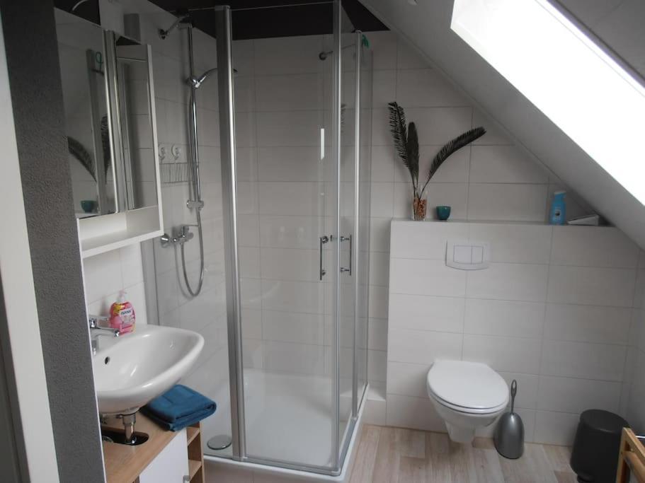 Auszeit 1 Apartment Harschbach